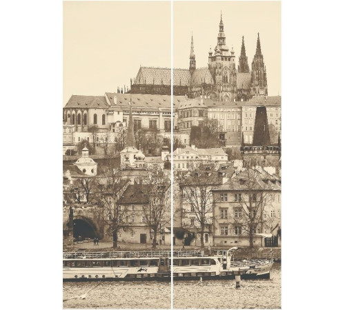 Шкаф-купе для одежды Леон-2 («Прага»)